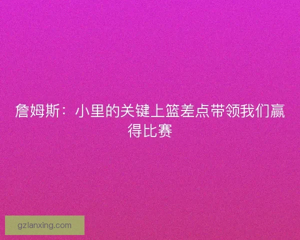 詹姆斯：小里的关键上篮差点带领我们赢得比赛